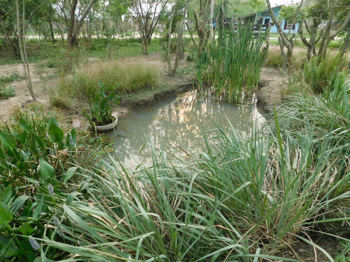 Arandu Ecolodge Colonia Carlos Pellegrini  Dış mekan fotoğraf